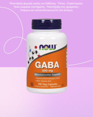 NOW Foods GABA 500 mg - 100 φυτικές κάψουλες